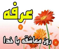 عرفه